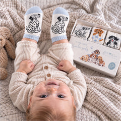 Baby strømper · Dogs