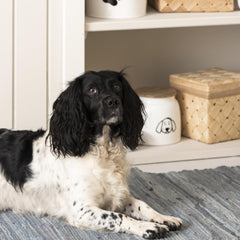 Dåse til hundemad · White