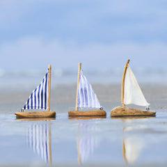 Skib · Hjarbæk sjægte