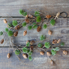 Cedertræs ranke m. kogler