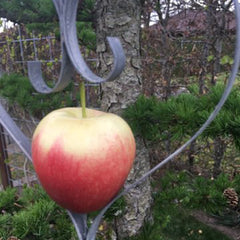 Hjerte til æbler · Metal