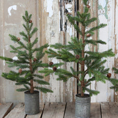 Grantræ m. kogler · mellem